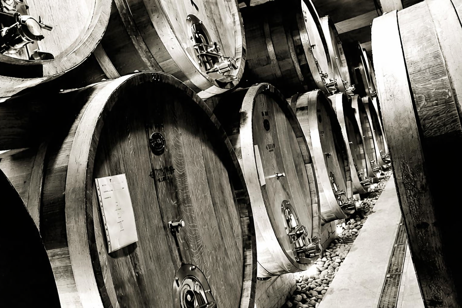 Sommelier di spalle davanti a scaffali di bottiglie di vino