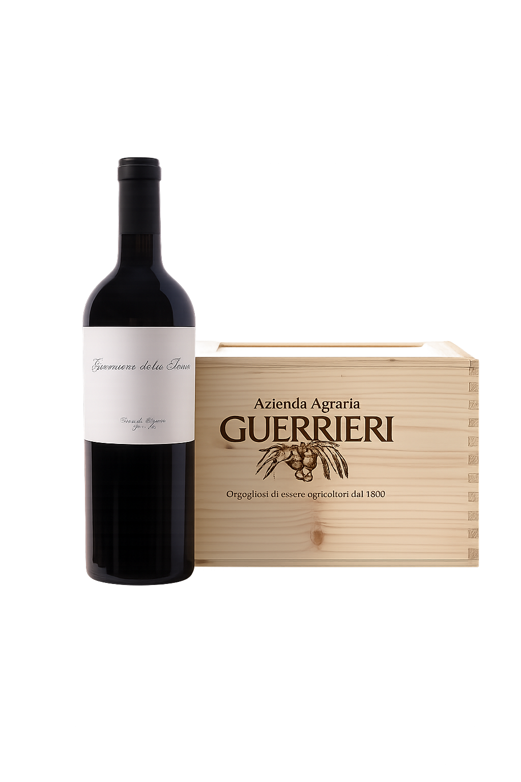 Guerriero della Terra