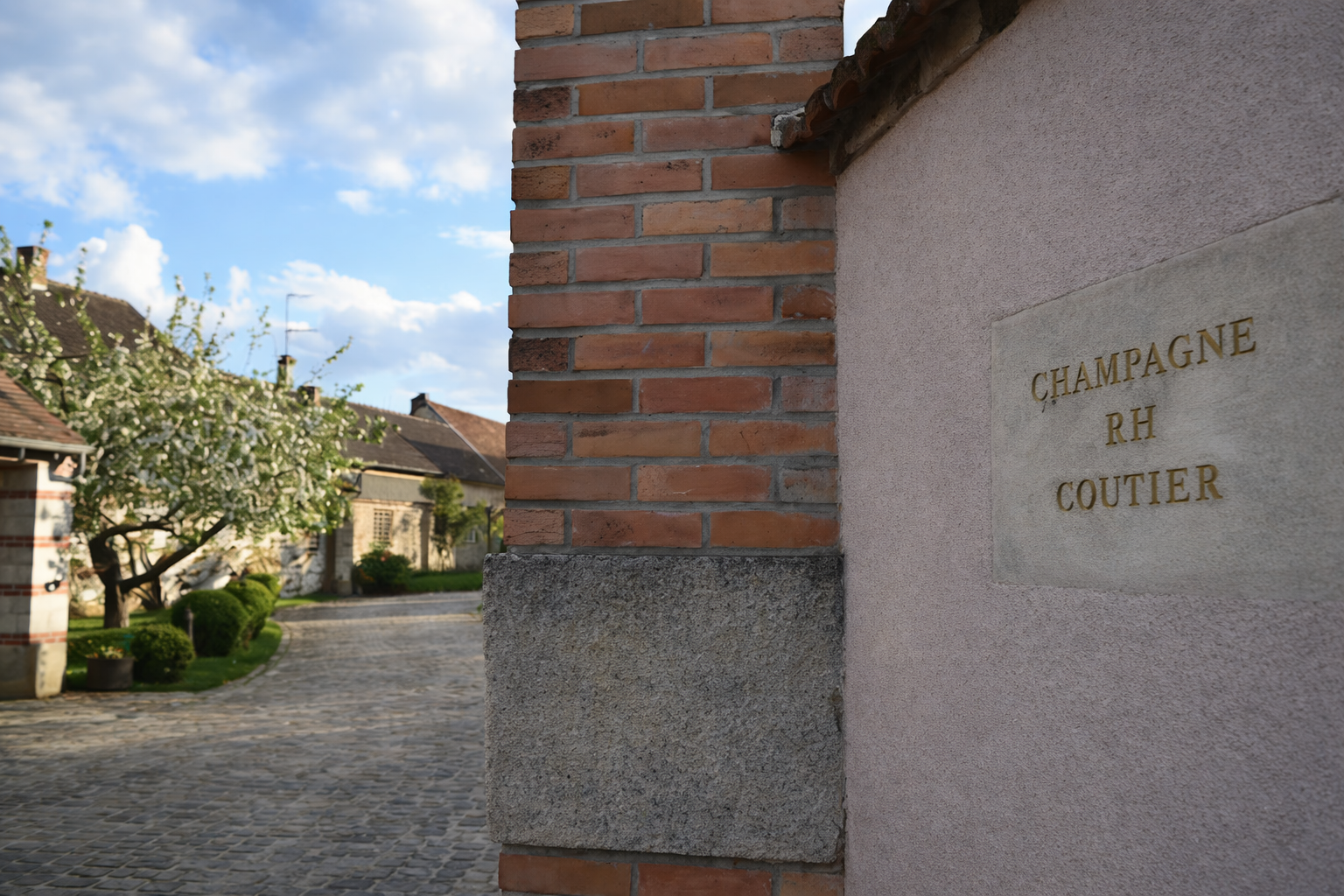 Sommelier di spalle davanti a scaffali di bottiglie di vino