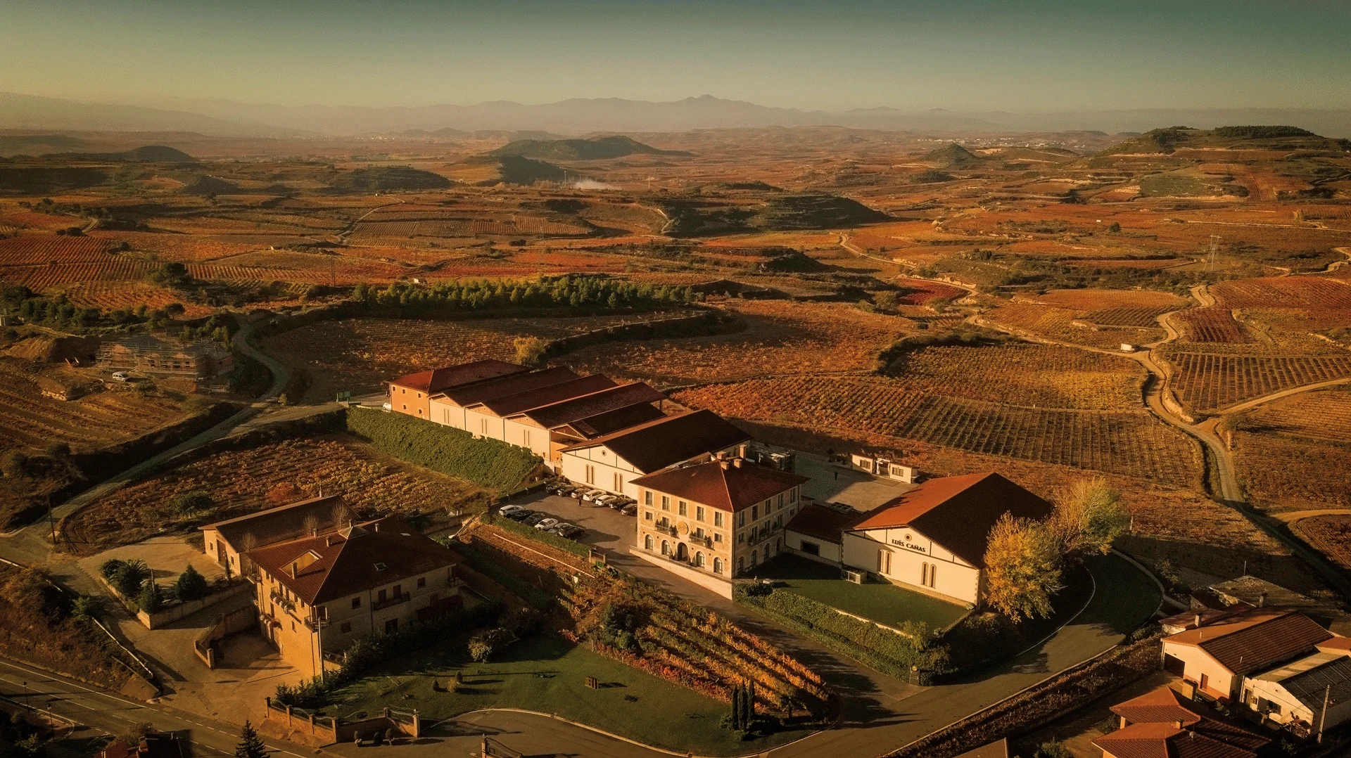 Sommelier di spalle davanti a scaffali di bottiglie di vino
