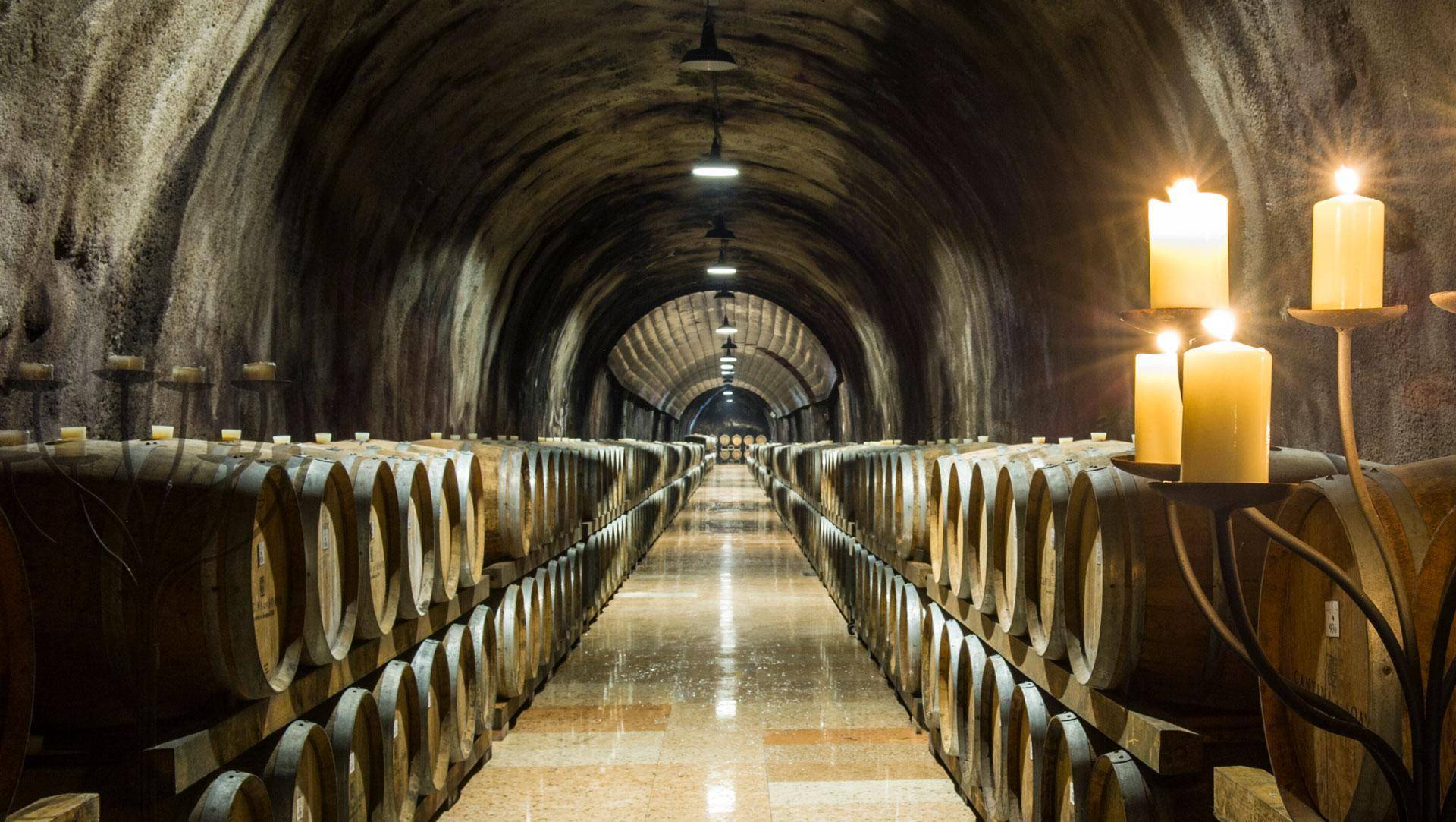 Sommelier di spalle davanti a scaffali di bottiglie di vino