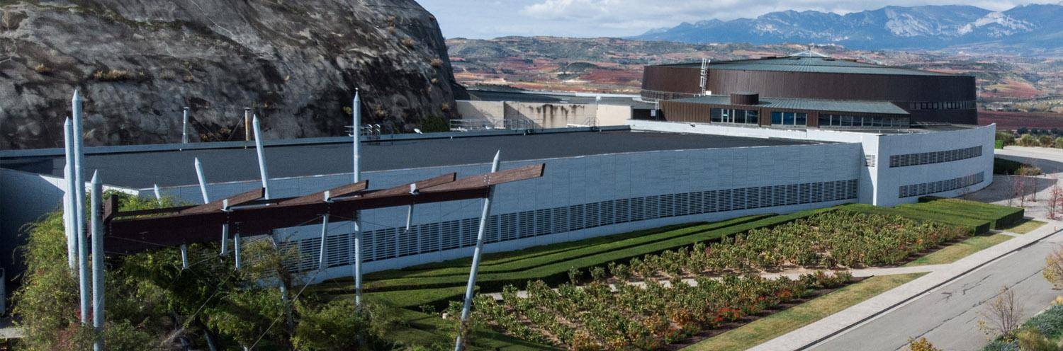 Sommelier di spalle davanti a scaffali di bottiglie di vino