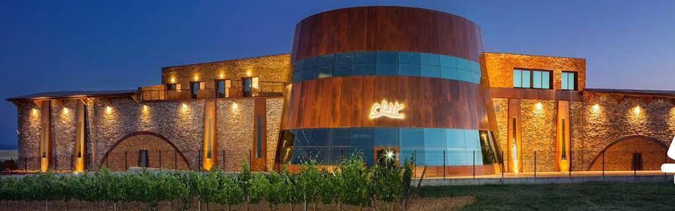 Sommelier di spalle davanti a scaffali di bottiglie di vino