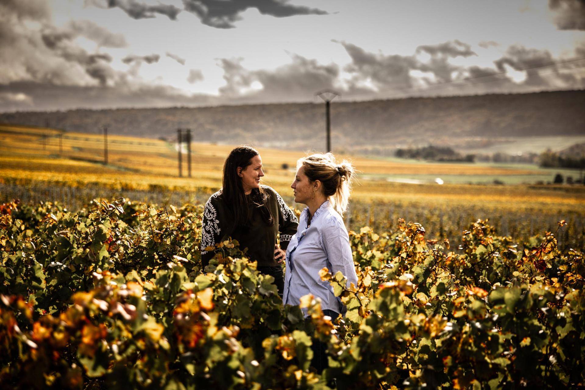 Sommelier di spalle davanti a scaffali di bottiglie di vino