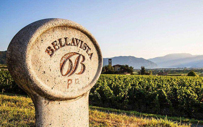 Sommelier di spalle davanti a scaffali di bottiglie di vino