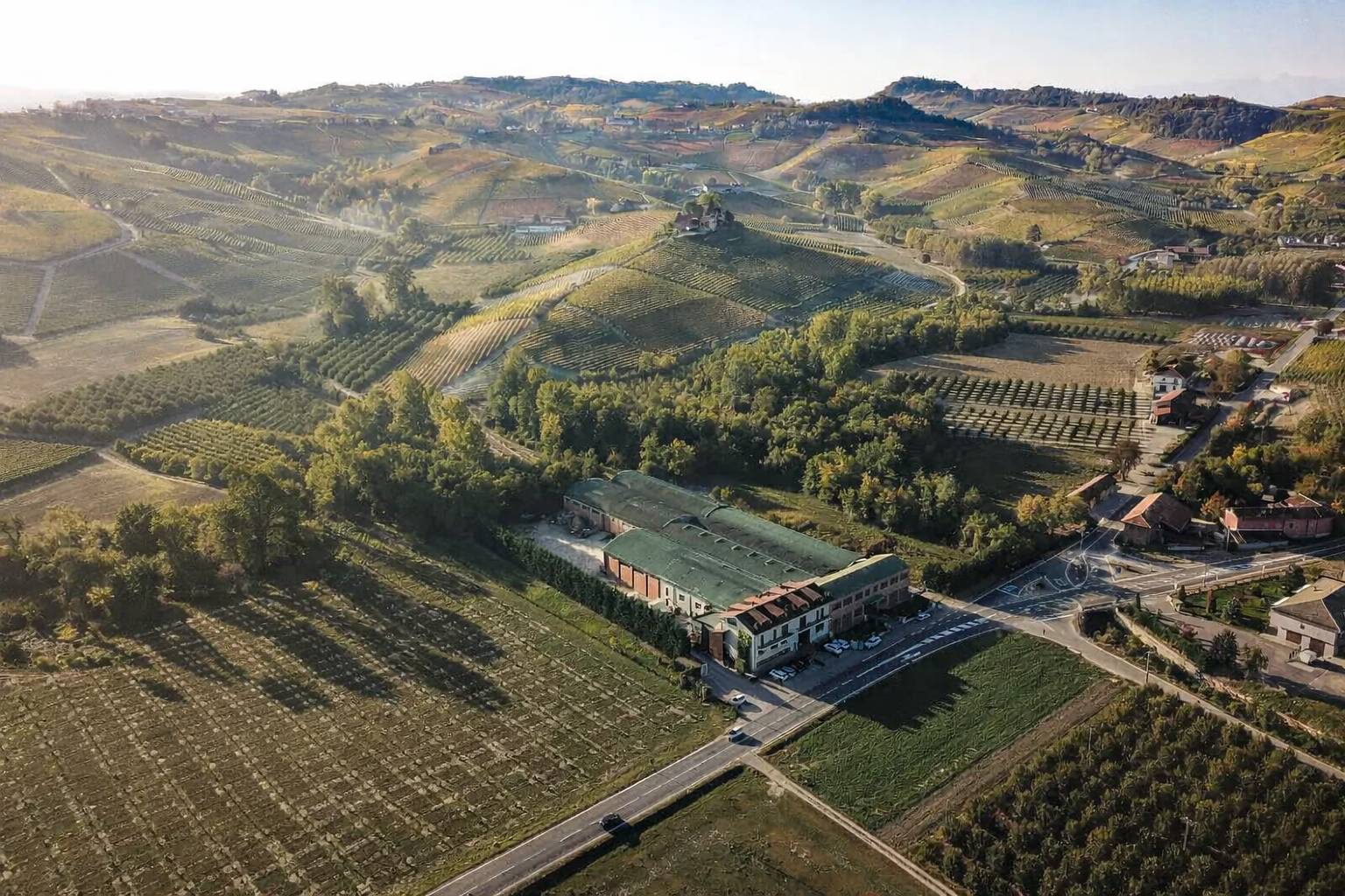Sommelier di spalle davanti a scaffali di bottiglie di vino