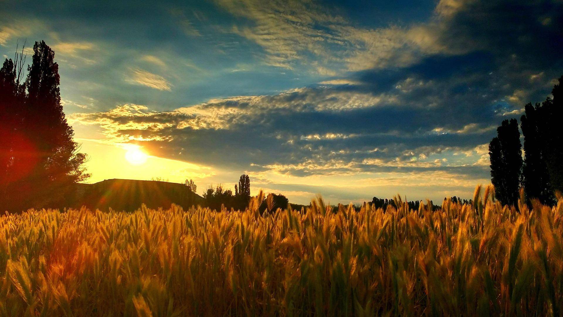 Rioja