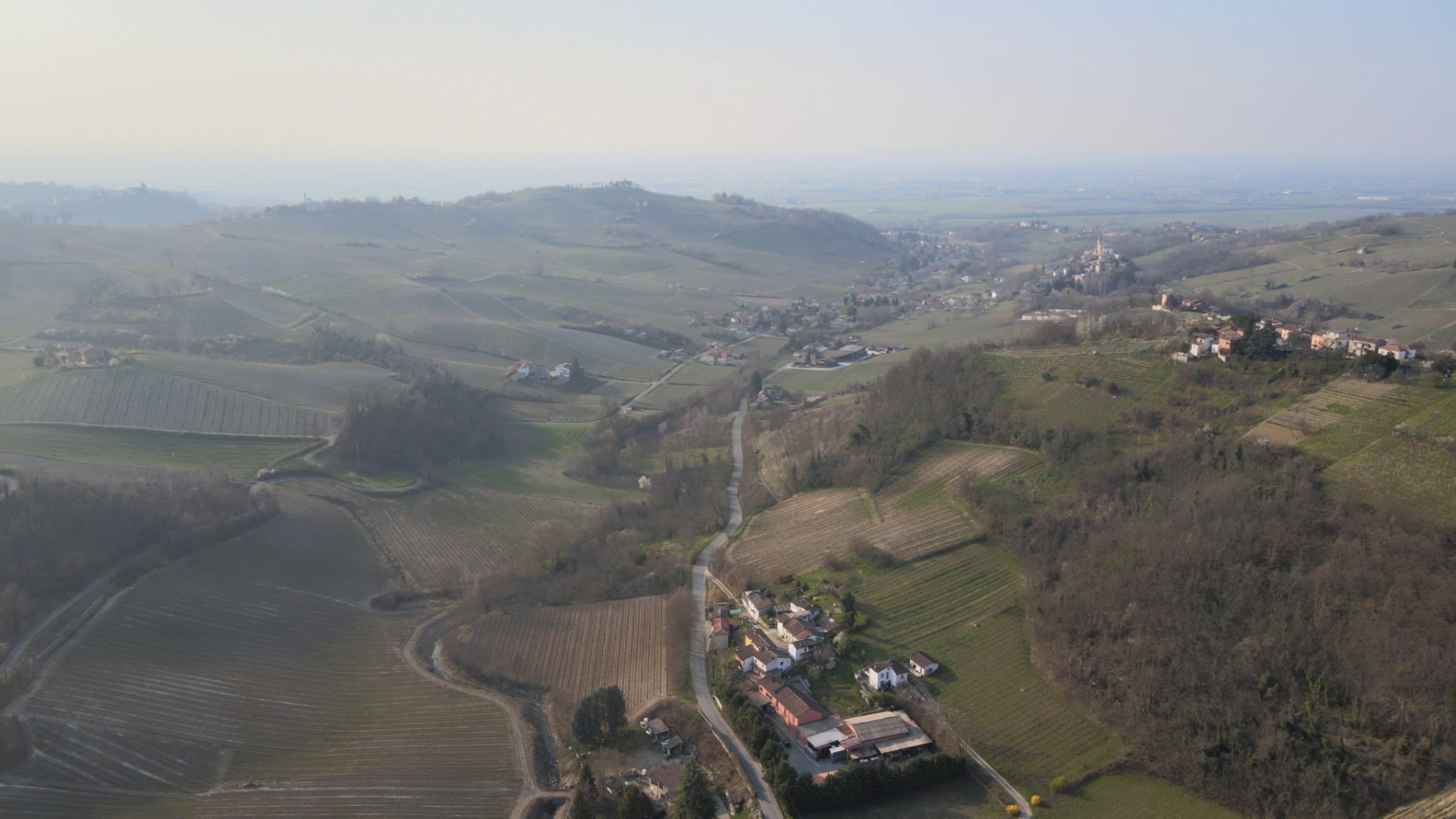 Sommelier di spalle davanti a scaffali di bottiglie di vino