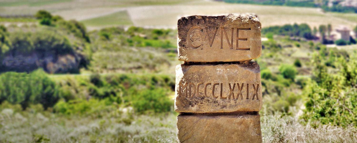 Sommelier di spalle davanti a scaffali di bottiglie di vino