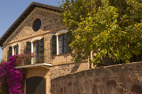 Sommelier di spalle davanti a scaffali di bottiglie di vino
