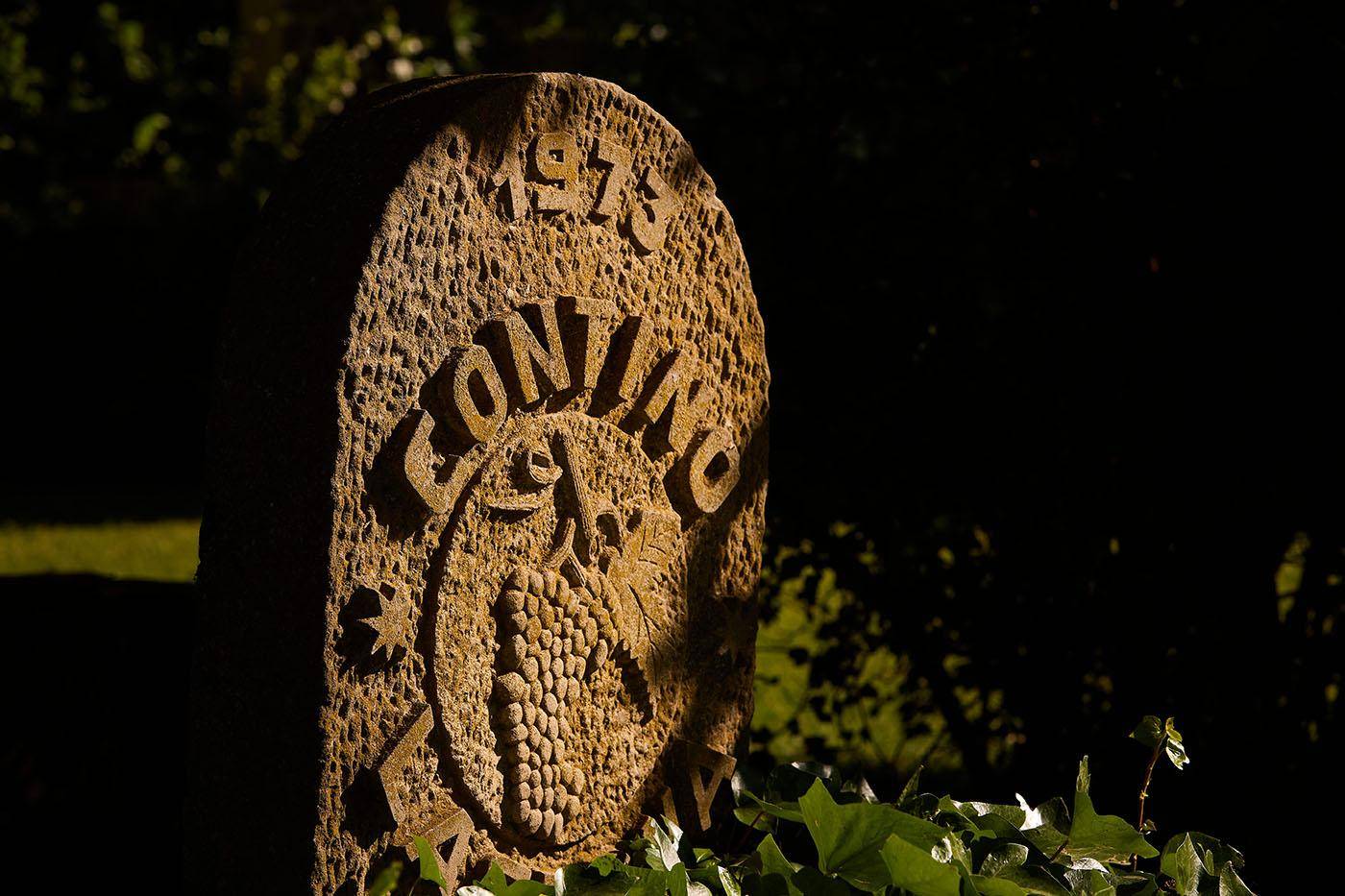 Sommelier di spalle davanti a scaffali di bottiglie di vino