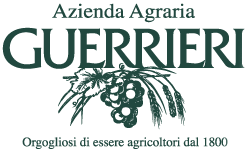 Guerrieri